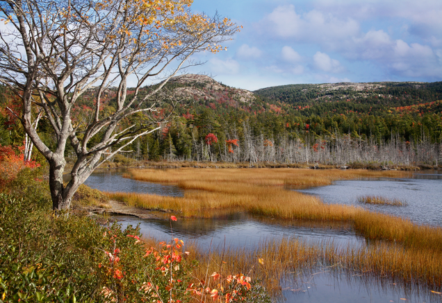 Illustration for article titled 5 Fall Hikes In The Northeast You Need To Add To Your Bucket List